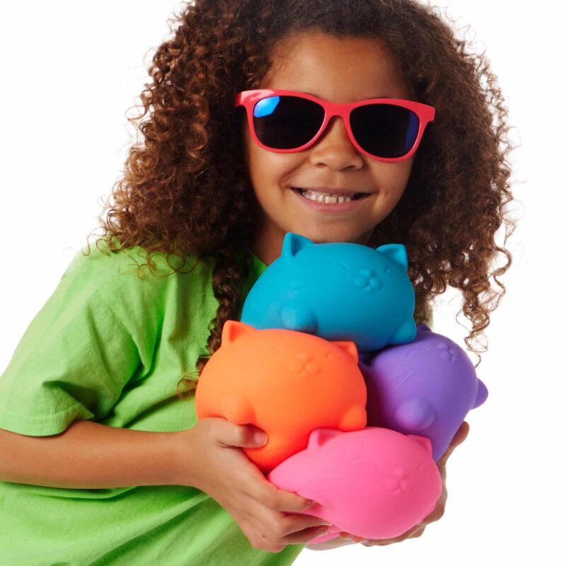 Super NeeDoh Cool Cats - US 4566