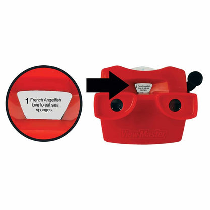 Viewmaster Boxed Set - US 3984